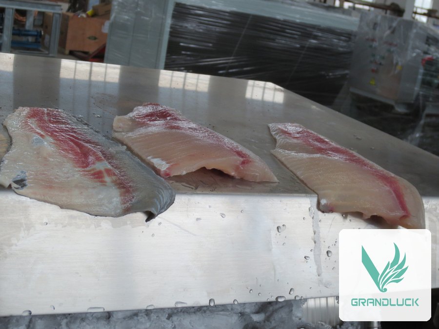 Despieladora de pescado Grandluck, vista 5